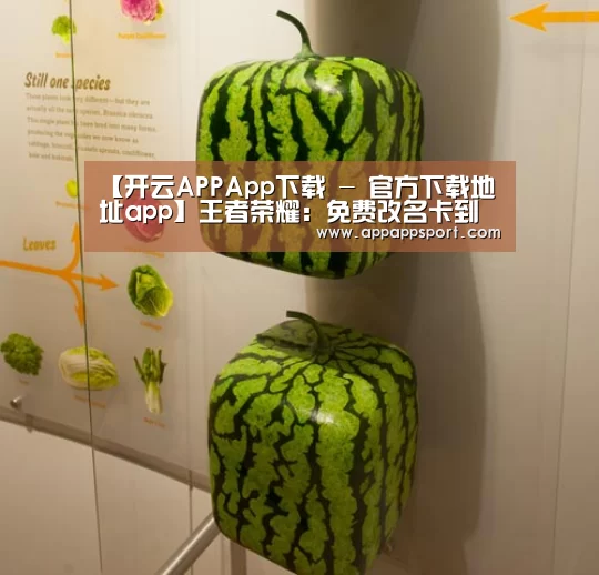【开云APPApp下载 - 官方下载地址app】王者荣耀:免费改名卡到手别乱用,玩家开始空手套id,真“虎辅无犬子”!(图3) 开云APPApp下载 - 官方下载地址官网